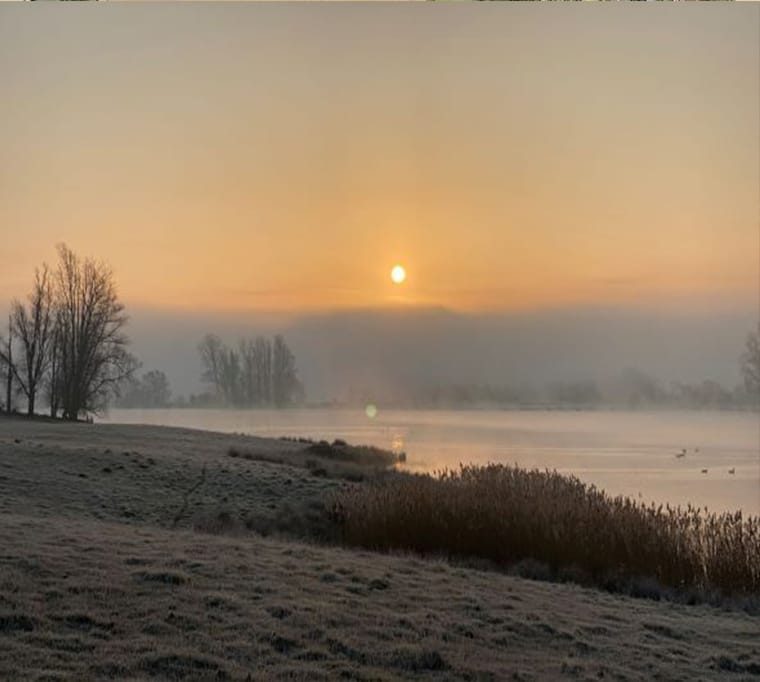 Elinor Trout Fishery214