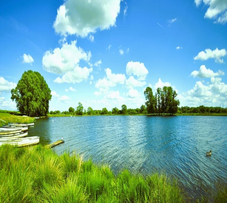 Elinor Trout Fishery215