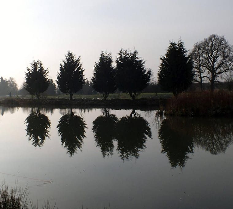 Ellerdine Lakes Fishery216