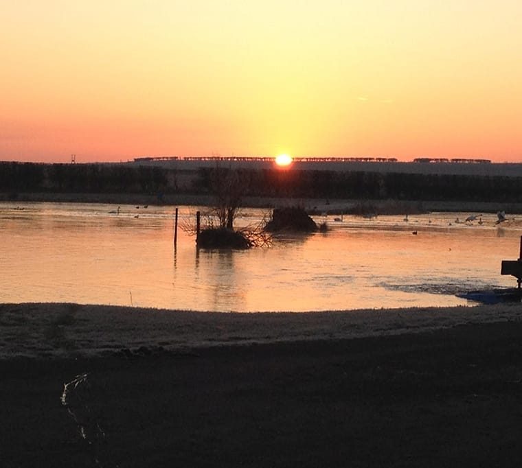 Ellerdine Lakes Fishery217