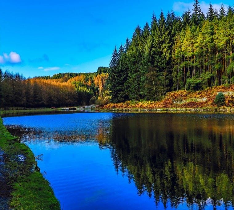 Entwistle Reservoir220