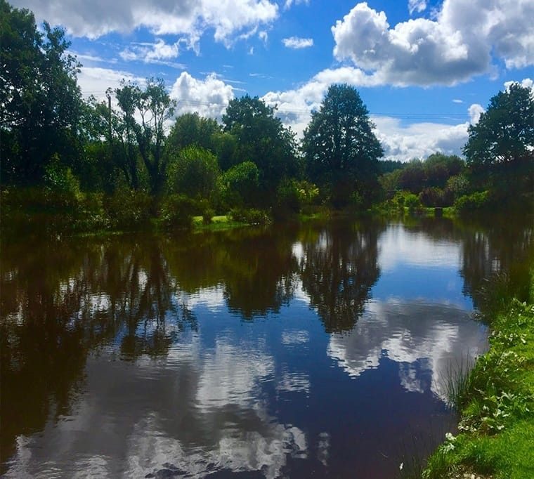 Exe Valley Fishery229