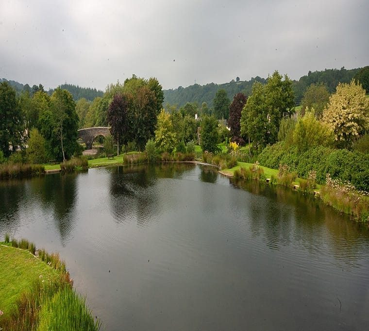 Exe Valley Fishery230