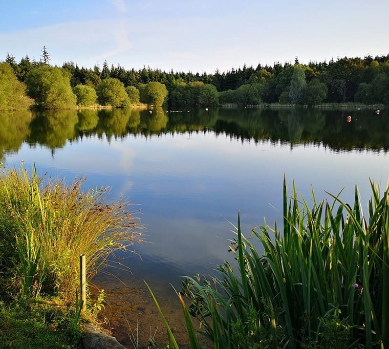 Felix Farm Trout Fishery239