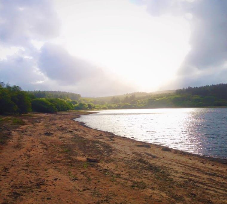 Fernworthy Reservoir242