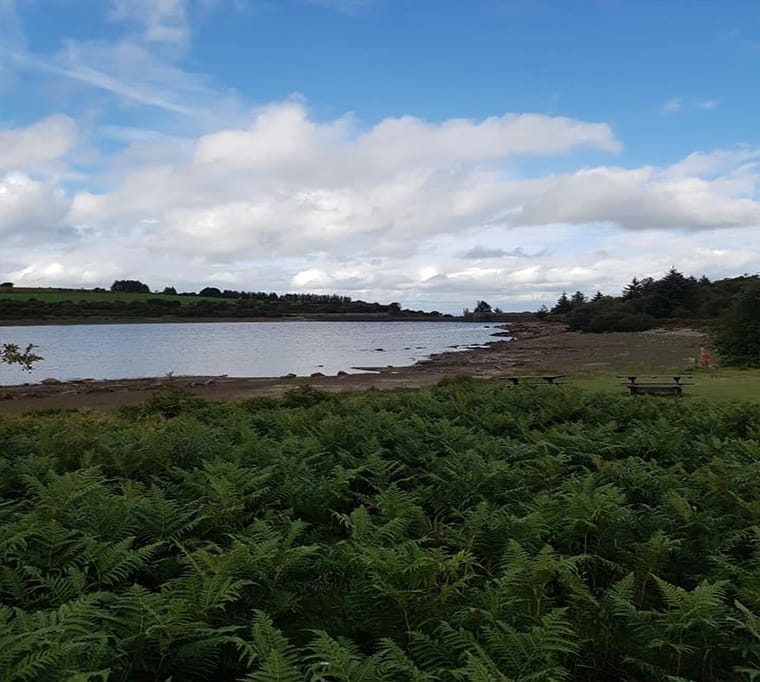 Fernworthy Reservoir243 (1)