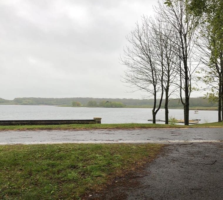 Foremark Trout Fishery252