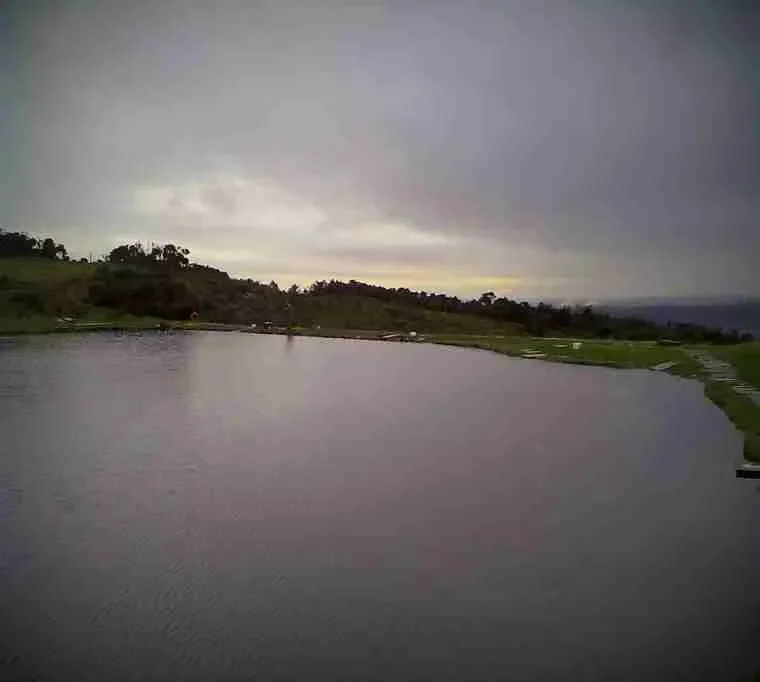 Fort-Springs-Trout-Fishery30