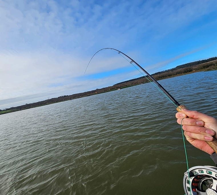 Foxhill Trout Fishery260