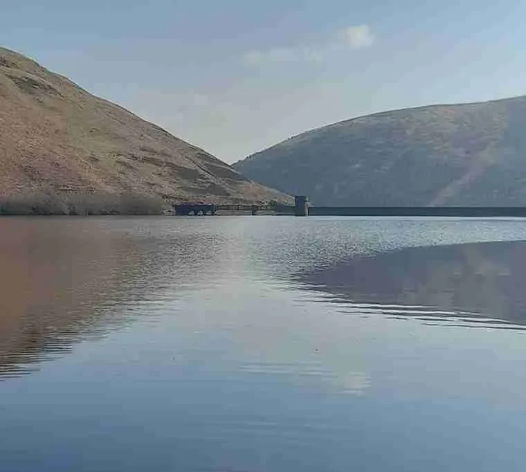 Frandy-Trout-Fishery34