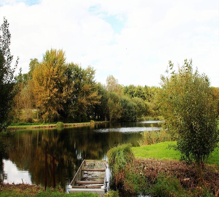 Franklyns Fish Farm Ltd262