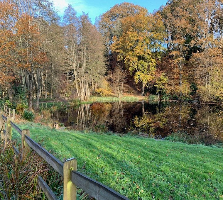 Frensham Trout Fishery264