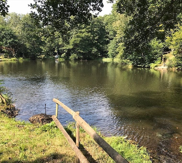 Frensham Trout Fishery265
