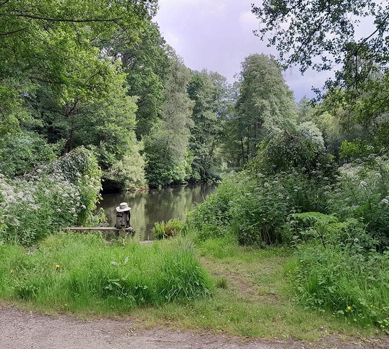 Frensham Trout Fishery266