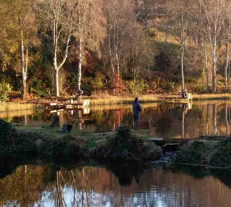 Geddes-Trout-Coarse-Fishery116