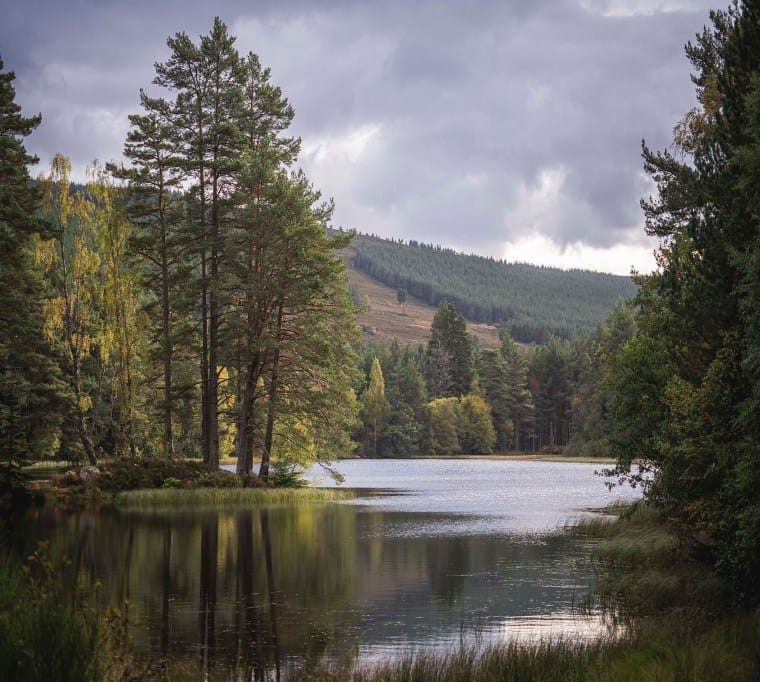 Glen Tanar11