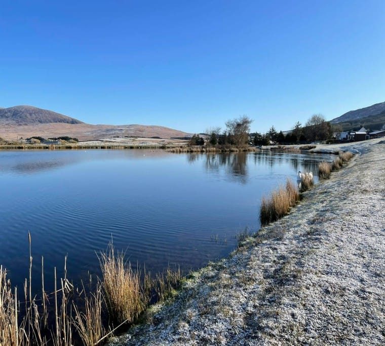 Glenquicken Troutmasters Fishery126