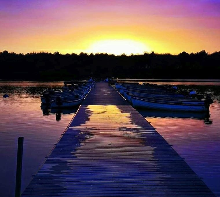 Hanningfield Reservoir297