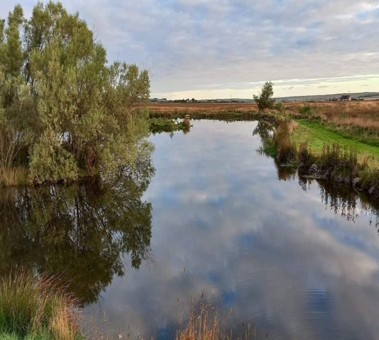 Harpsdale Fishery Park1