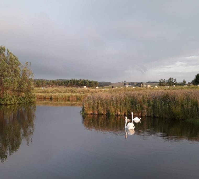 Harpsdale Fishery Park2