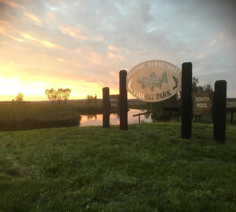 Harpsdale Fishery Park4