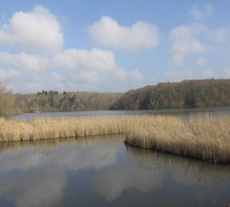 Hastings Fly Fishers Club303