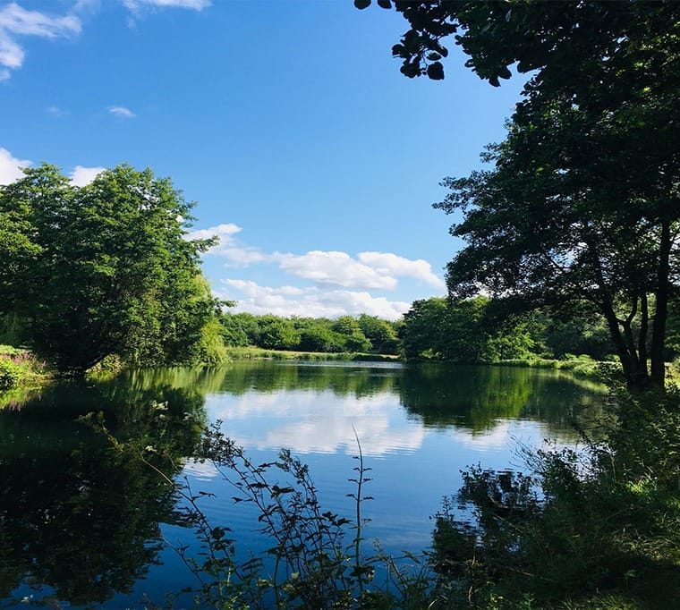 Holbury Lakes Trout Fishery324