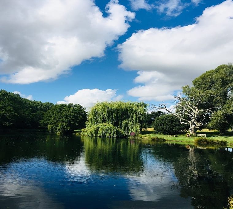 Holbury Lakes Trout Fishery325