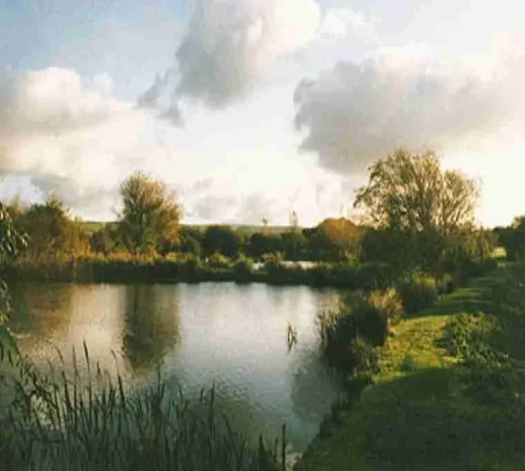 Island-Fish-Farm-Meadow-Lakes3