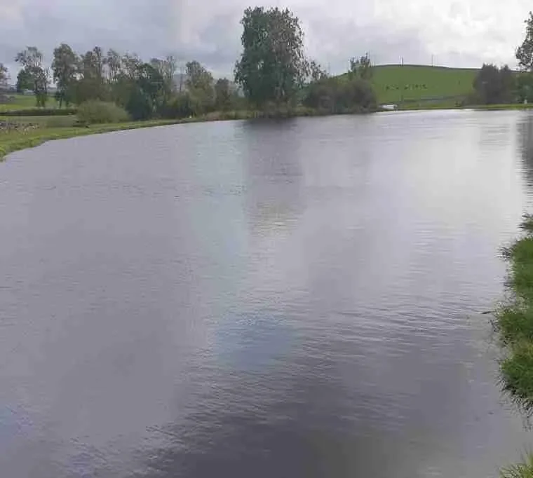 Jacks-Trout-Fishery42