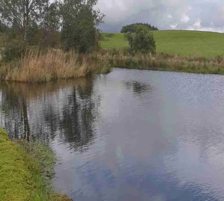 Jacks-Trout-Fishery43