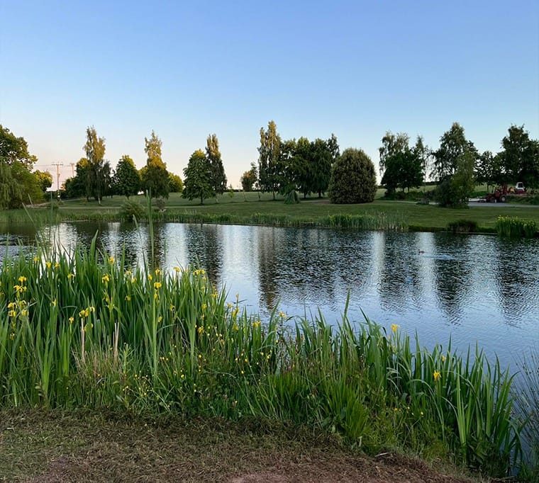 Kingfisher Trout Lake359