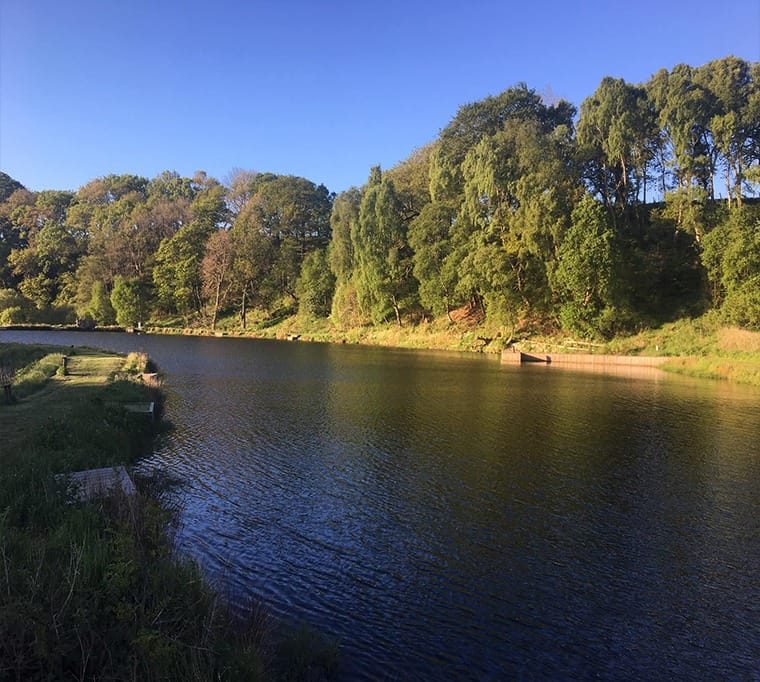 Knitsley Mill Trout Fishery361