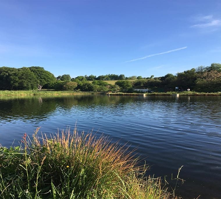 Knitsley Mill Trout Fishery362