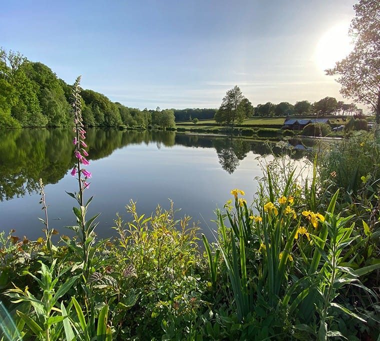 Lakedown Trout Fishery370