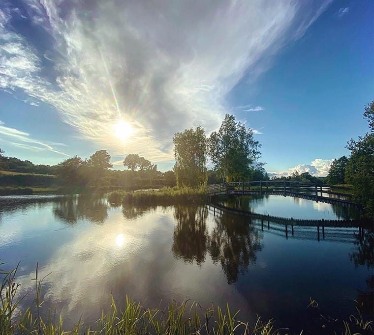 Lakedown Trout Fishery371