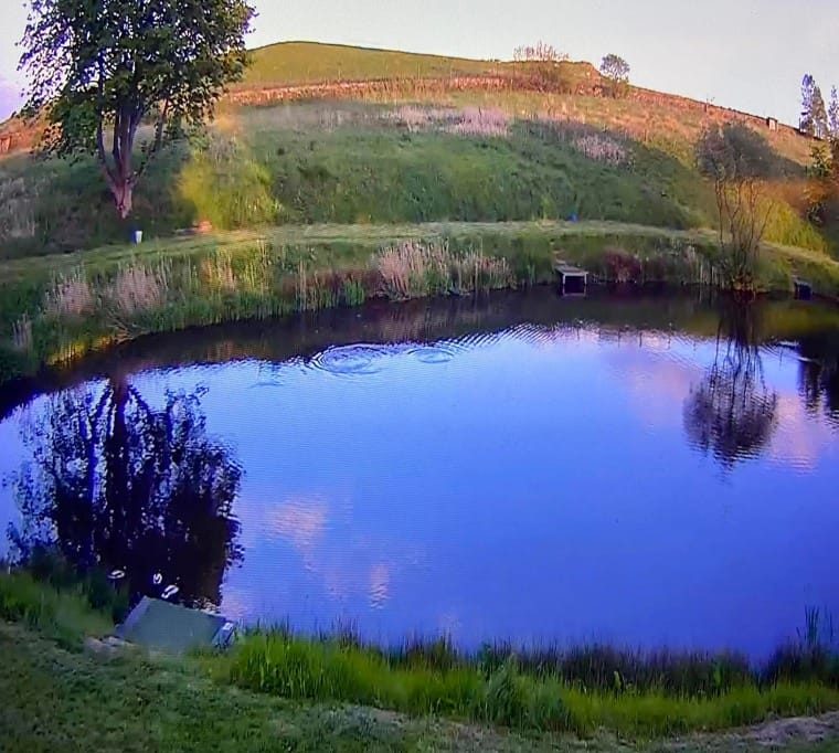 Lathalmond Fishery46