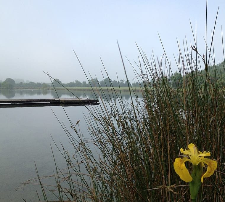 Lechlade and Bushyleaze Trout Fisheries376