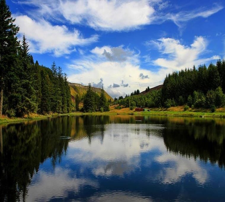Ledcrieff & Lairds Lochs Trout Fishery149 (1)