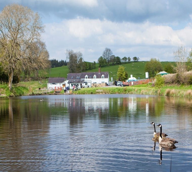 Llandegla Fishery382