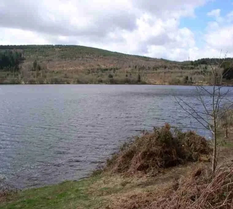 Llwyn-on-Reservoir-2