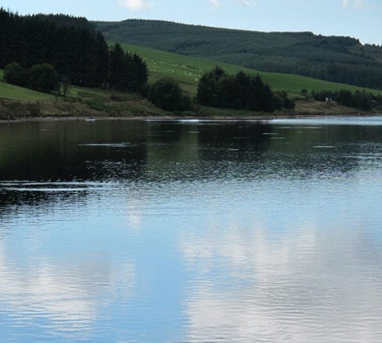 Llyn Clywedog Trout fishery391