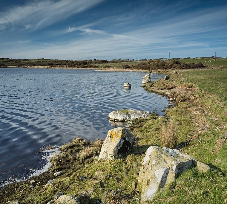Llyn Coron Trout Fishery397