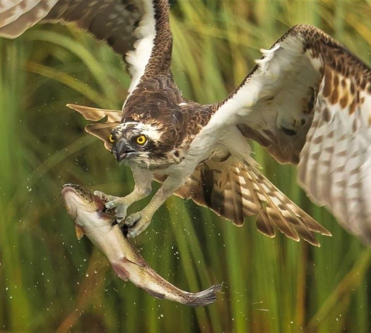 Lochter Trout Fishery167