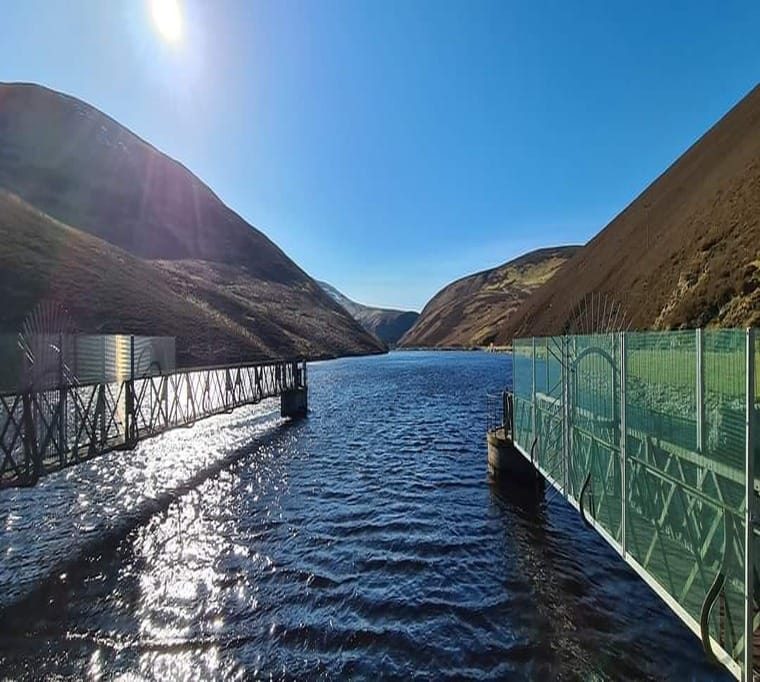 Loganlea Trout Fishery175