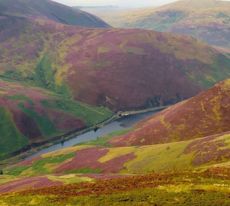 Loganlea Trout Fishery177