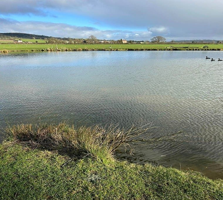 Low Osgoodby Lake Fly Fishing419
