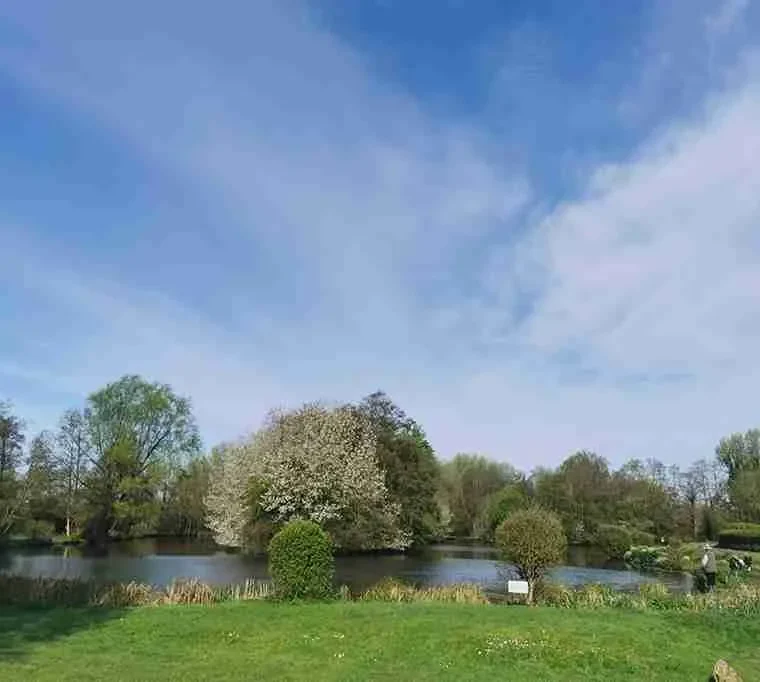 Manningford-Trout-Fishery425