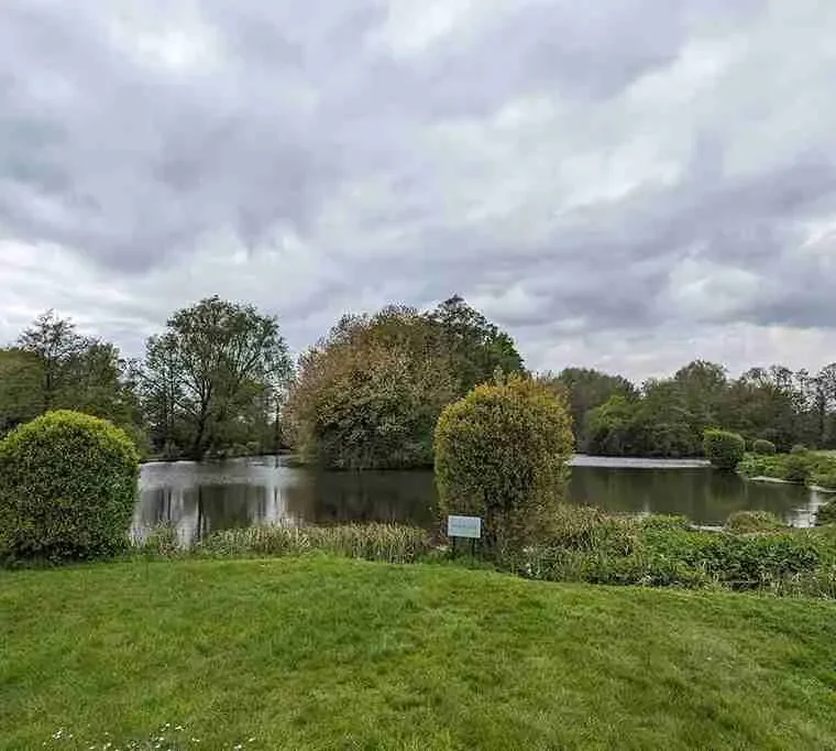 Manningford-Trout-Fishery426