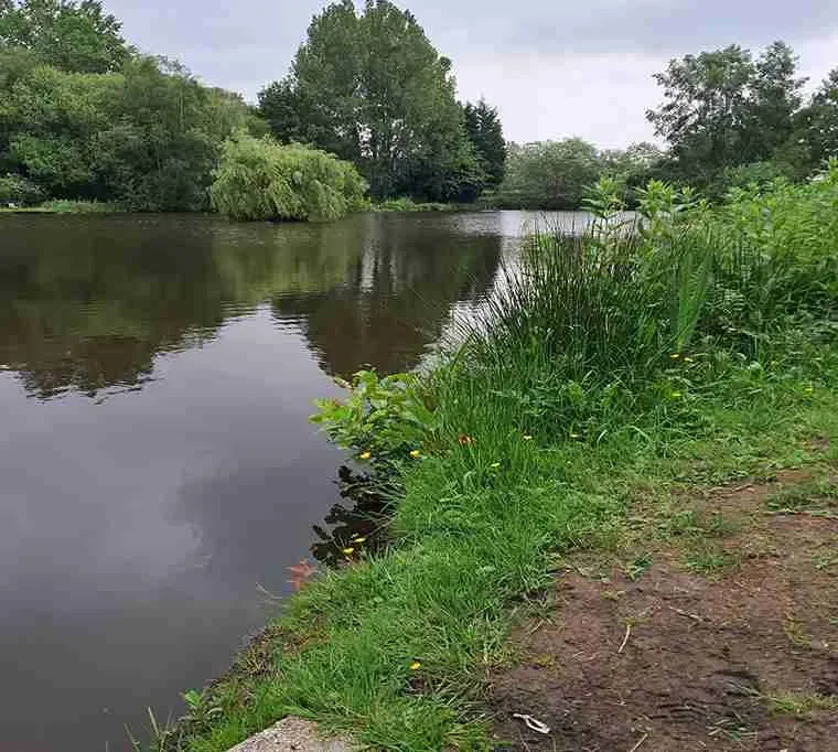 Marton-Heath-Trout-Pools-3